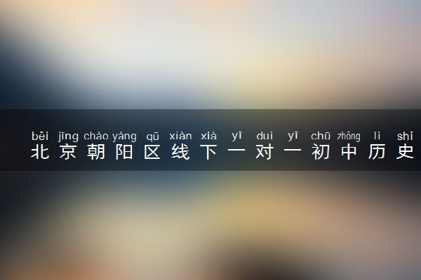 北京朝阳区线下一对一初中历史老师推荐