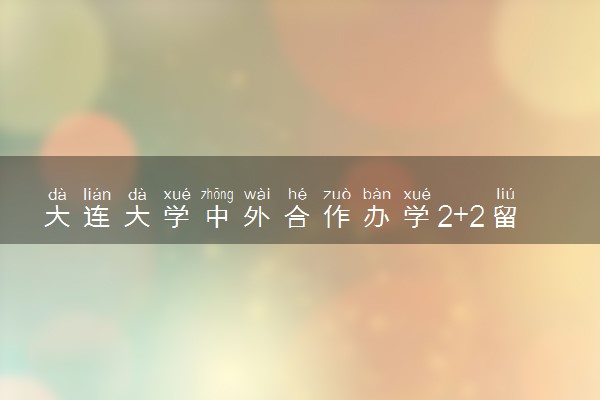 大连大学中外合作办学2+2留学项目可以不出国吗？