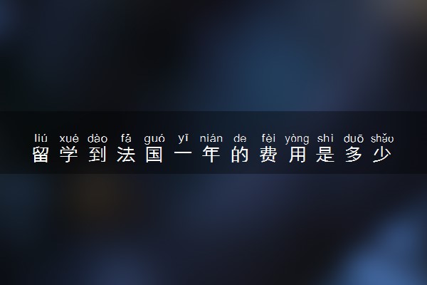 留学到法国一年的费用是多少 值得去吗
