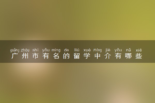 广州市有名的留学中介有哪些 哪家靠谱
