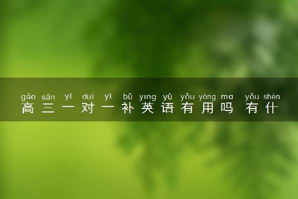 高三一对一补英语有用吗 有什么好处