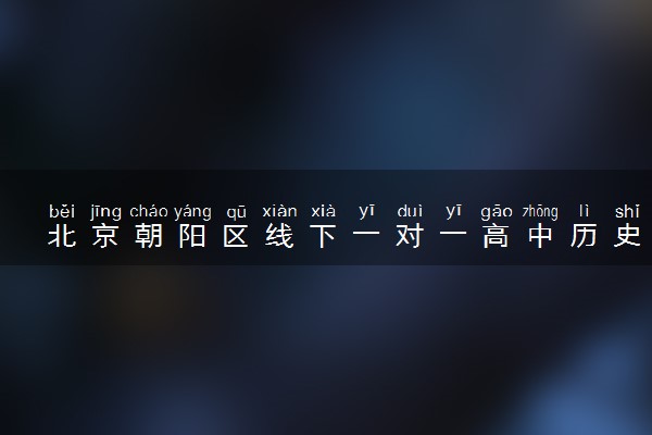 北京朝阳区线下一对一高中历史老师推荐