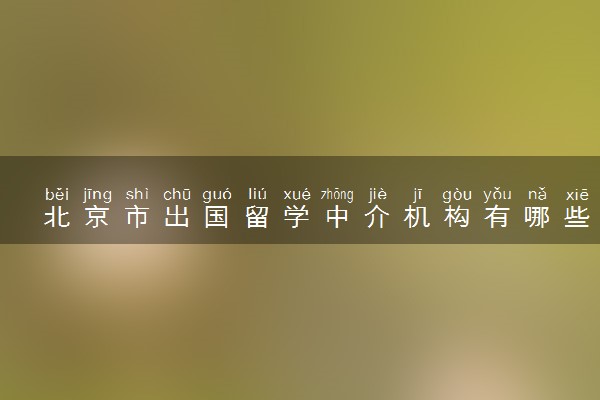 北京市出国留学中介机构有哪些 哪家靠谱