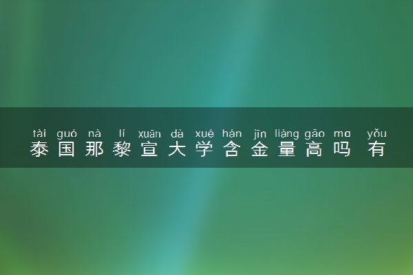 泰国那黎宣大学含金量高吗 有必要读吗