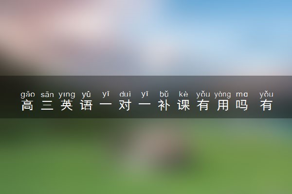 高三英语一对一补课有用吗 有什么优势