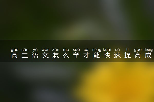 高三语文怎么学才能快速提高成绩 学习技巧有哪些