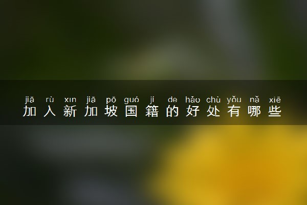 加入新加坡国籍的好处有哪些 要什么条件