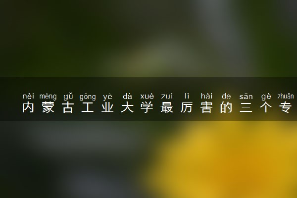 内蒙古工业大学最厉害的三个专业 哪些专业好就业