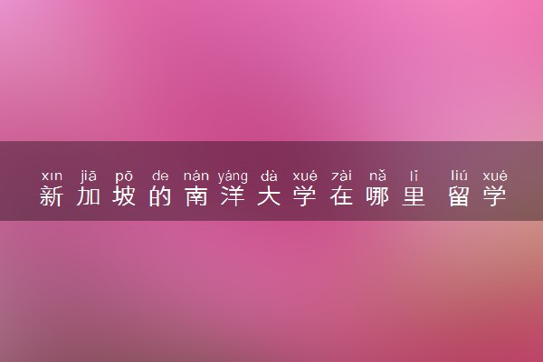 新加坡的南洋大学在哪里 留学读完能干什么