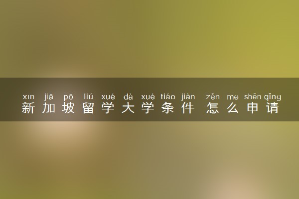 新加坡留学大学条件 怎么申请