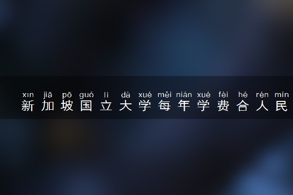 新加坡国立大学每年学费合人民币多少 有哪些花销