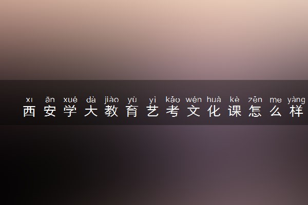 西安学大教育艺考文化课怎么样 好不好