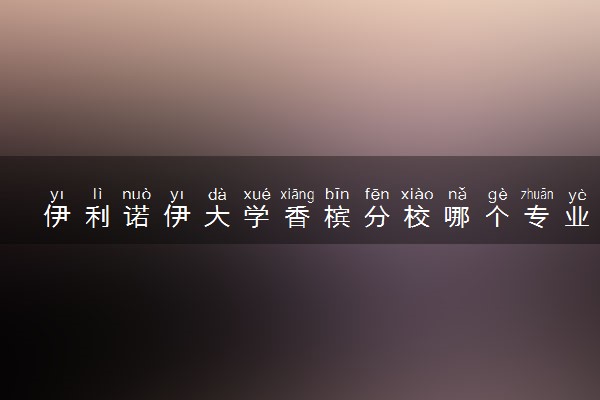 伊利诺伊大学香槟分校哪个专业最牛 有什么特点