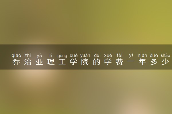 乔治亚理工学院的学费一年多少钱 提供哪些奖学金