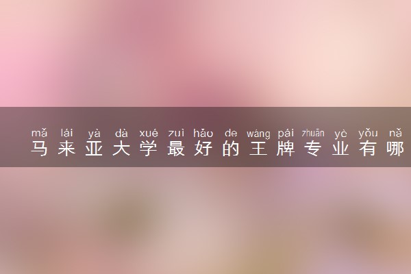 马来亚大学最好的王牌专业有哪些？专业QS排名多少？