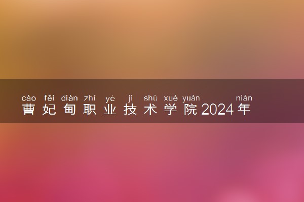 曹妃甸职业技术学院2024年各省录取分数线 多少分能考上