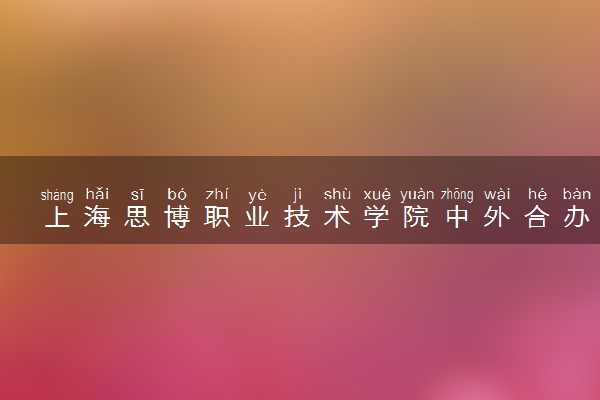 上海思博职业技术学院中外合办录取分数线是多少