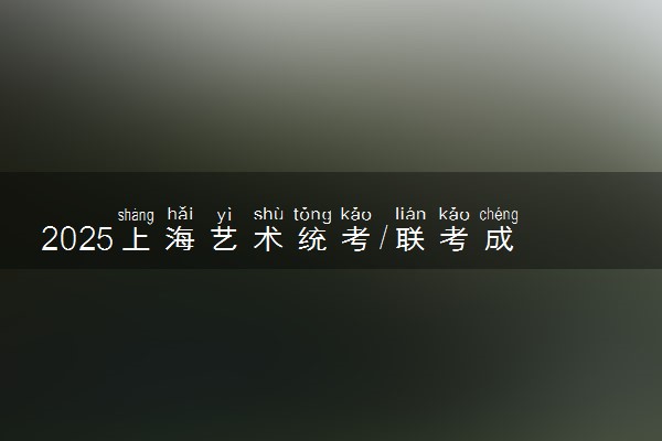 2025上海艺术统考/联考成绩公布时间 什么时候查分