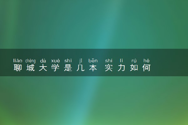 聊城大学是几本 实力如何