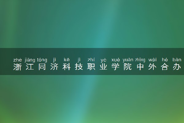 浙江同济科技职业学院中外合办分数线(2025参考)