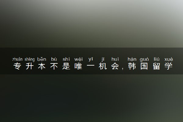 专升本不是唯一机会，韩国留学是进路也是退路