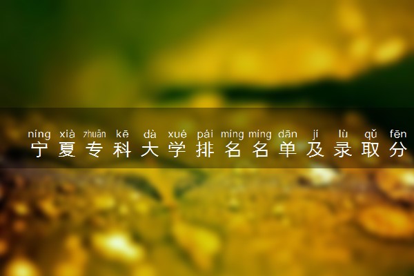 宁夏专科大学排名名单及录取分数线（2025年参考）