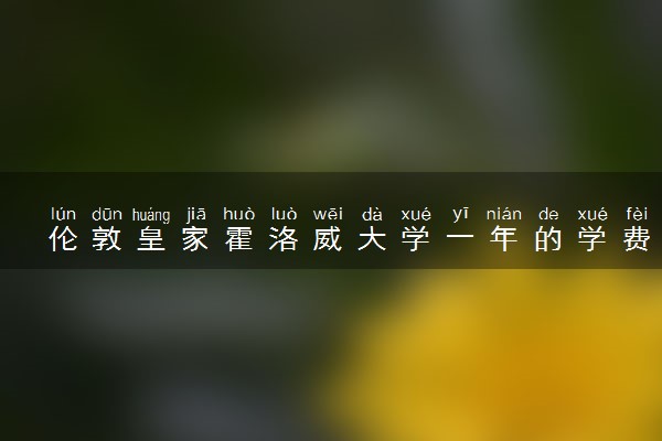 伦敦皇家霍洛威大学一年的学费 提供哪些奖学金