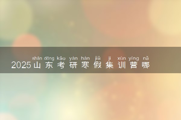 2025山东考研寒假集训营哪家好