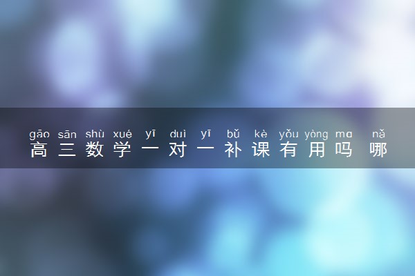高三数学一对一补课有用吗 哪些学生适合一对一