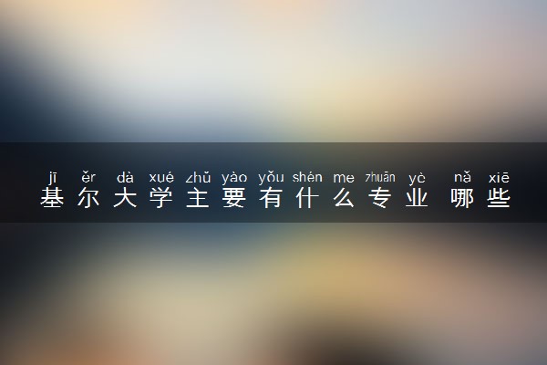 基尔大学主要有什么专业 哪些受欢迎