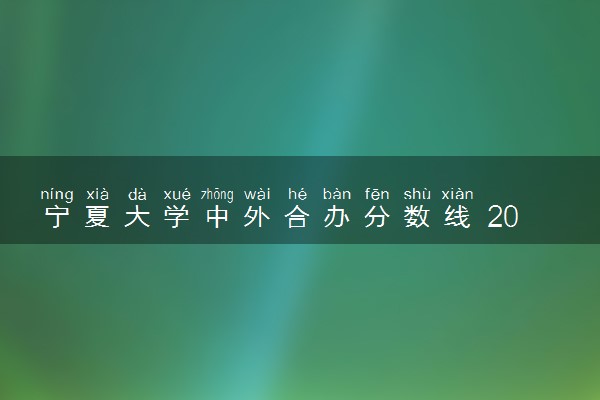 宁夏大学中外合办分数线 2025多少分能录取