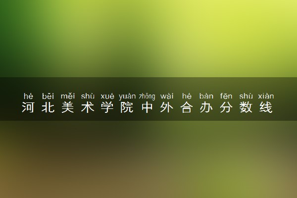 河北美术学院中外合办分数线 2025多少分能录取