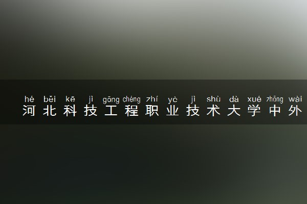 河北科技工程职业技术大学中外合办分数线（2025参考）