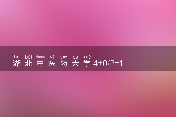 湖北中医药大学4+0/3+1/3+2国际班学费多少钱