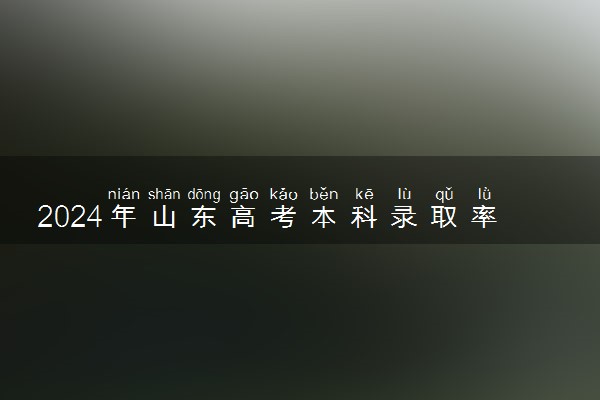 2024年山东高考本科录取率及录取人数 上线率高吗