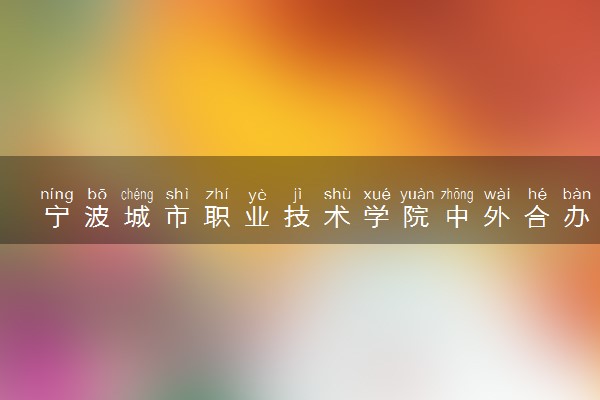 宁波城市职业技术学院中外合办分数线（2025参考）