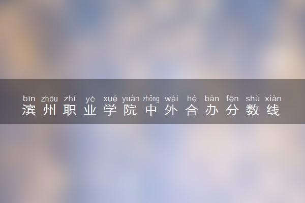 滨州职业学院中外合办分数线 2025多少分能录取