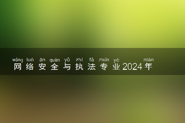 网络安全与执法专业2024年大学排名 最好的大学排行榜