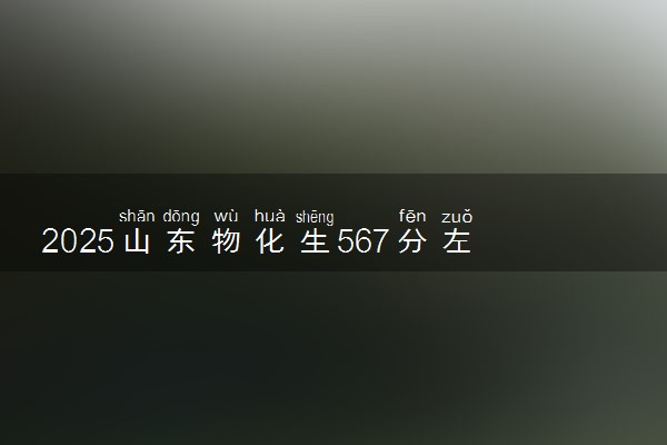 2025山东物化生567分左右能上什么大学 可以报考的院校名单