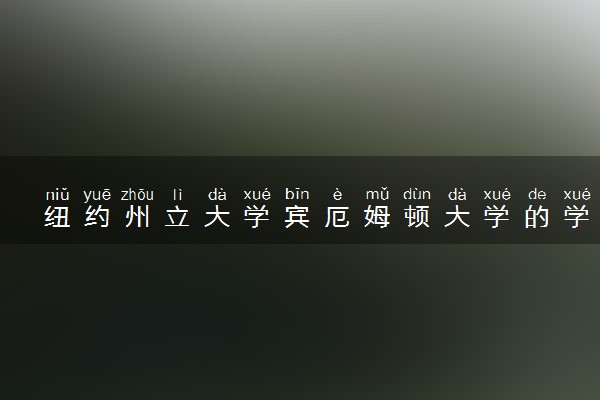 纽约州立大学宾厄姆顿大学的学费贵吗 一年大概多少钱