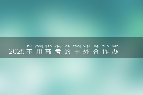 2025不用高考的中外合作办学有哪些 靠谱吗