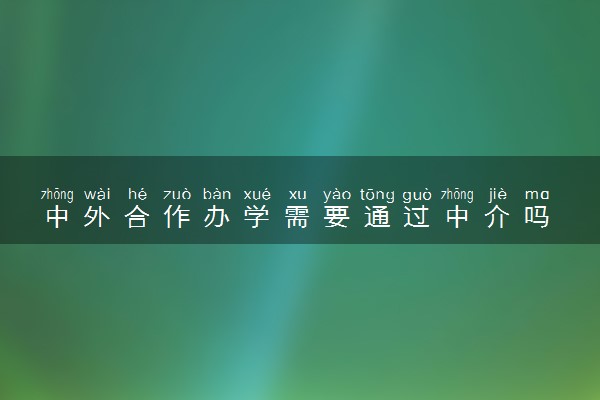 中外合作办学需要通过中介吗 可以自己申请吗