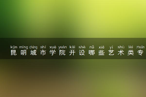昆明城市学院开设哪些艺术类专业 什么专业前景好