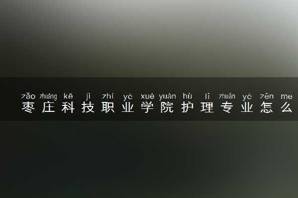 枣庄科技职业学院护理专业怎么样 录取分数线多少