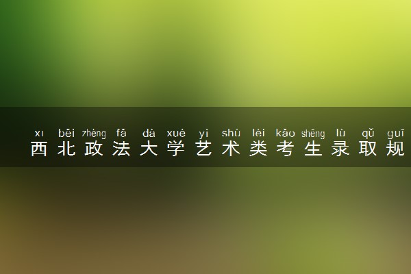 西北政法大学艺术类考生录取规则是怎样的 有哪些要求