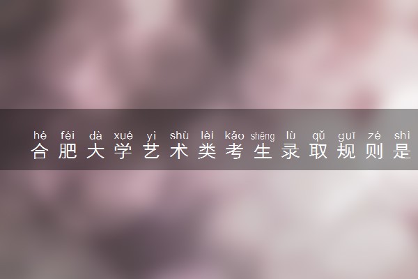合肥大学艺术类考生录取规则是怎样的 有哪些要求