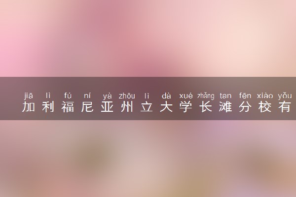 加利福尼亚州立大学长滩分校有哪些专业 读完好就业吗