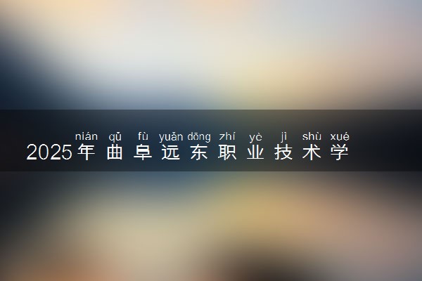 2025年曲阜远东职业技术学院单招综评招生计划及专业