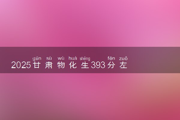 2025甘肃物化生393分左右能上什么大学 可以报考的院校名单