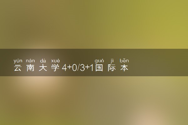 云南大学4+0/3+1国际本科收费标准 学费多少钱